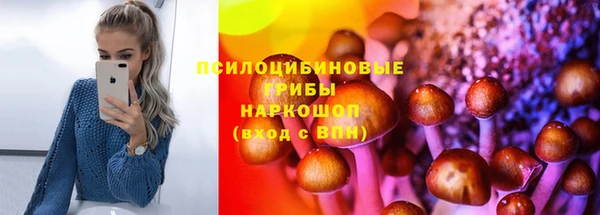 PSILOCYBIN Беломорск