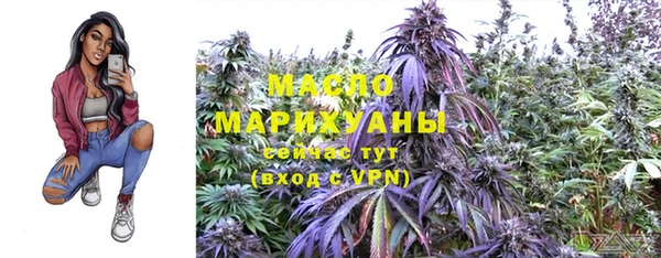 apvp Осинники