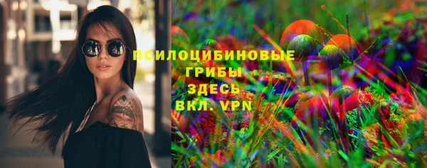 apvp Осинники