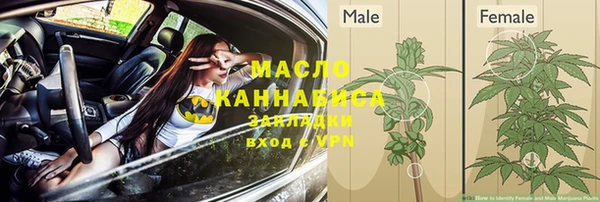 apvp Осинники