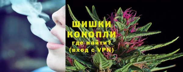 apvp Осинники