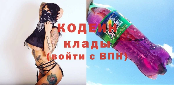 PSILOCYBIN Гатчина