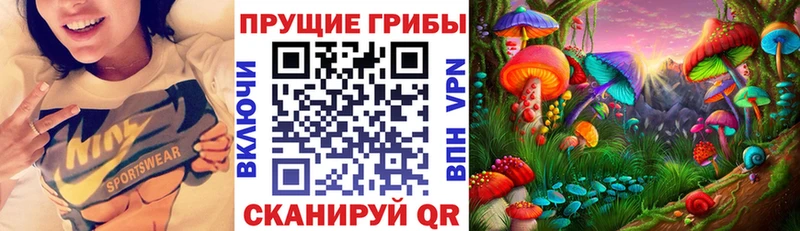 магазин продажи наркотиков  мориарти официальный сайт  Галлюциногенные грибы Psilocybine cubensis  Удомля  KRAKEN ТОР 