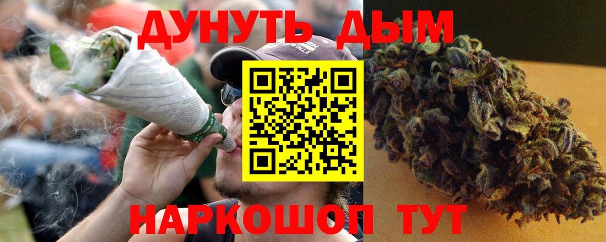 Конопля сатива Удомля